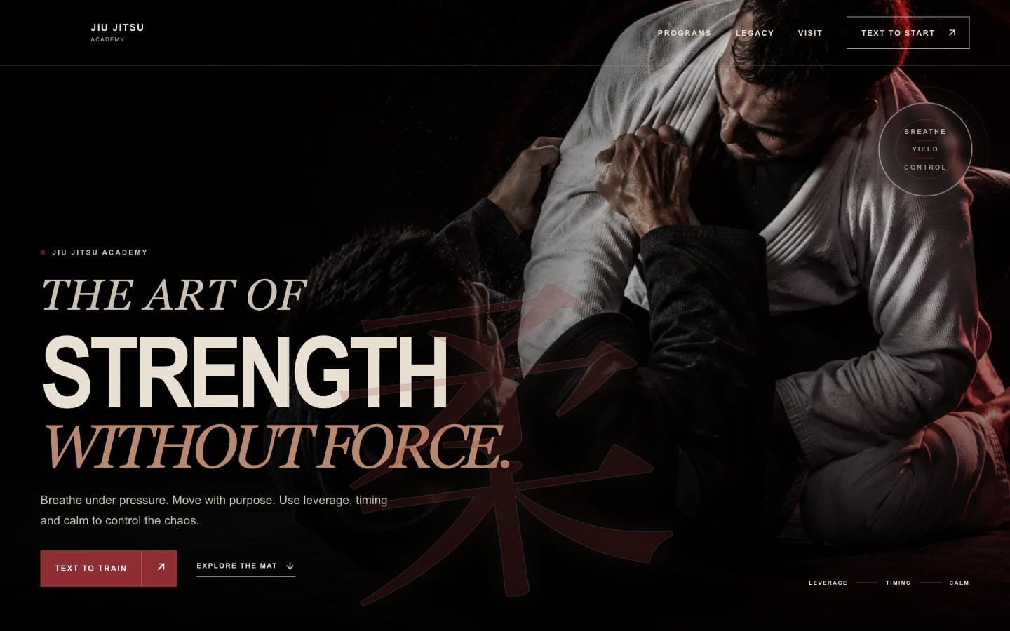 Jiu Jitsu Academy — Website screenshot